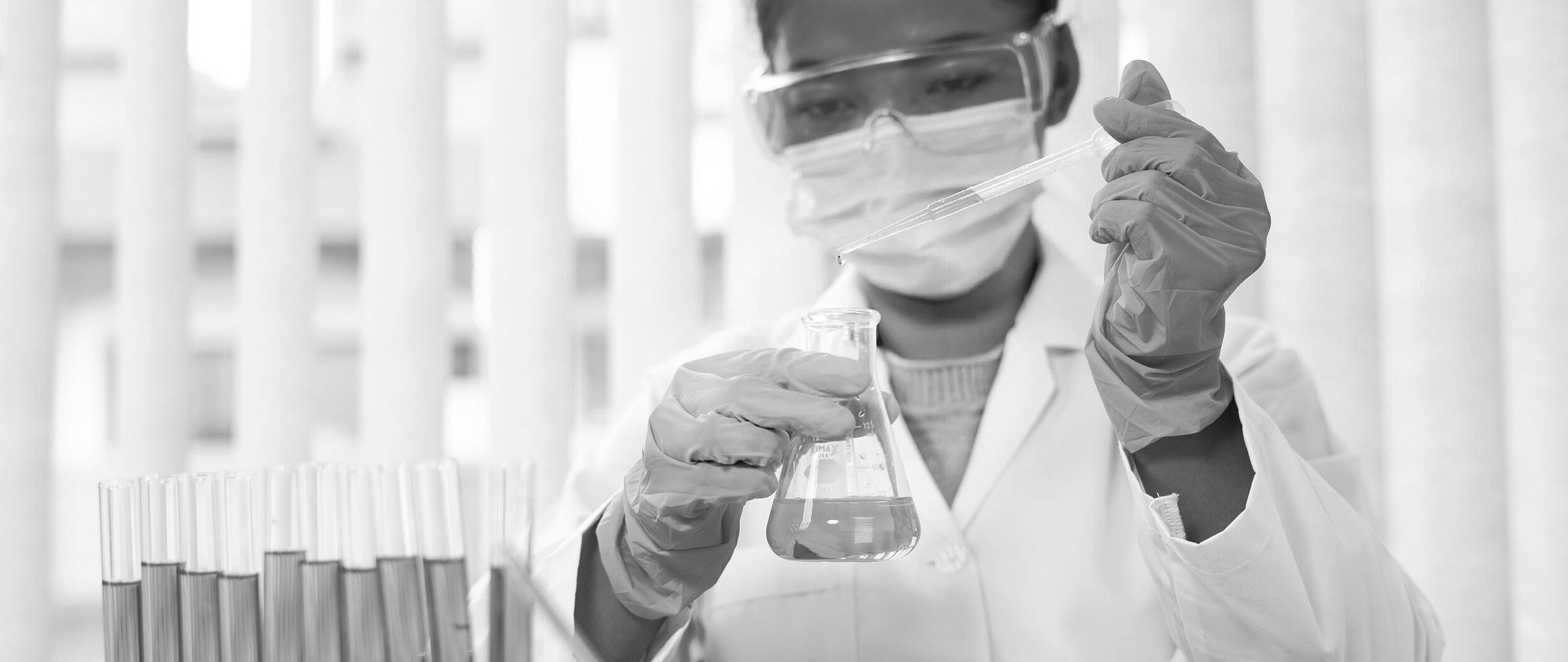 Valors i compromís_