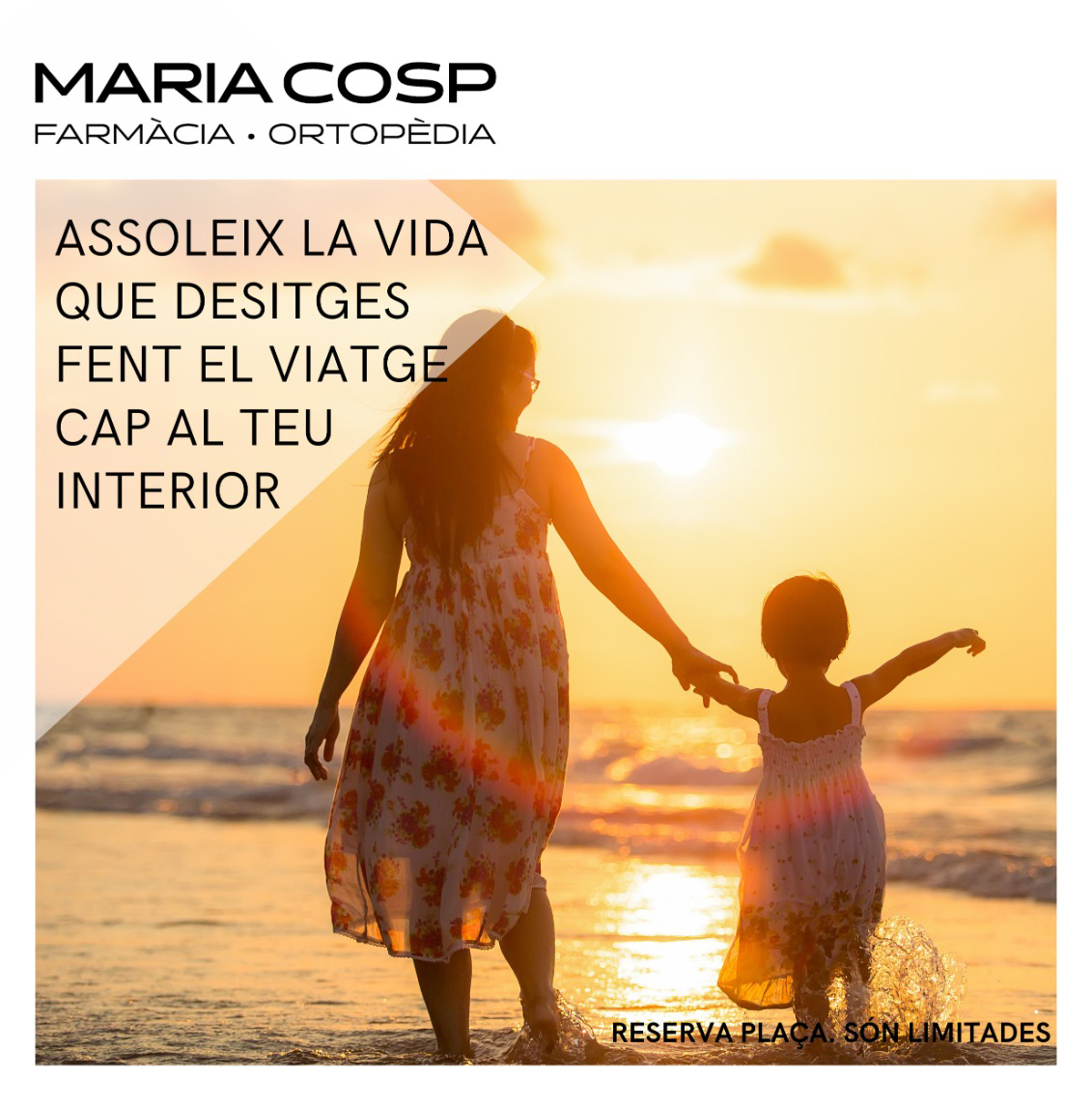 Cartell xerrada assoleix la vida que desitges