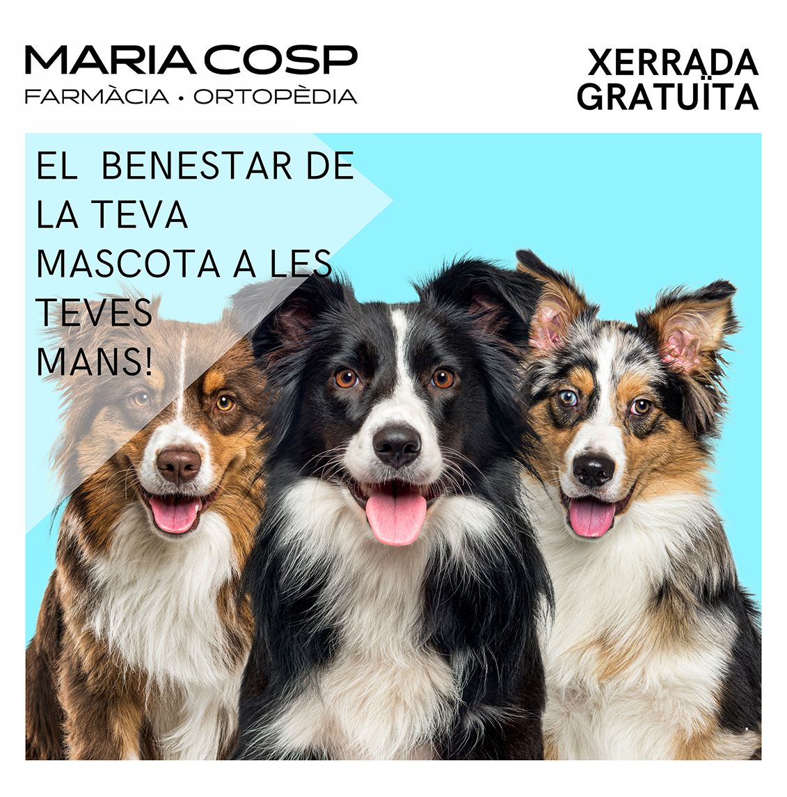 Cartell xerrada Farmàcia Maria Cosp "El benestar de la tev mascota"