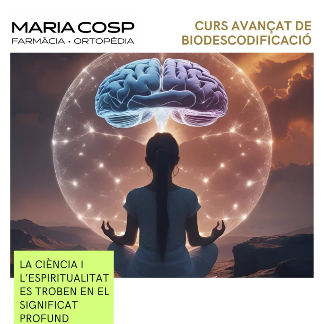 Farmàcia Maria Cosp - curs avançat de biodescodificació