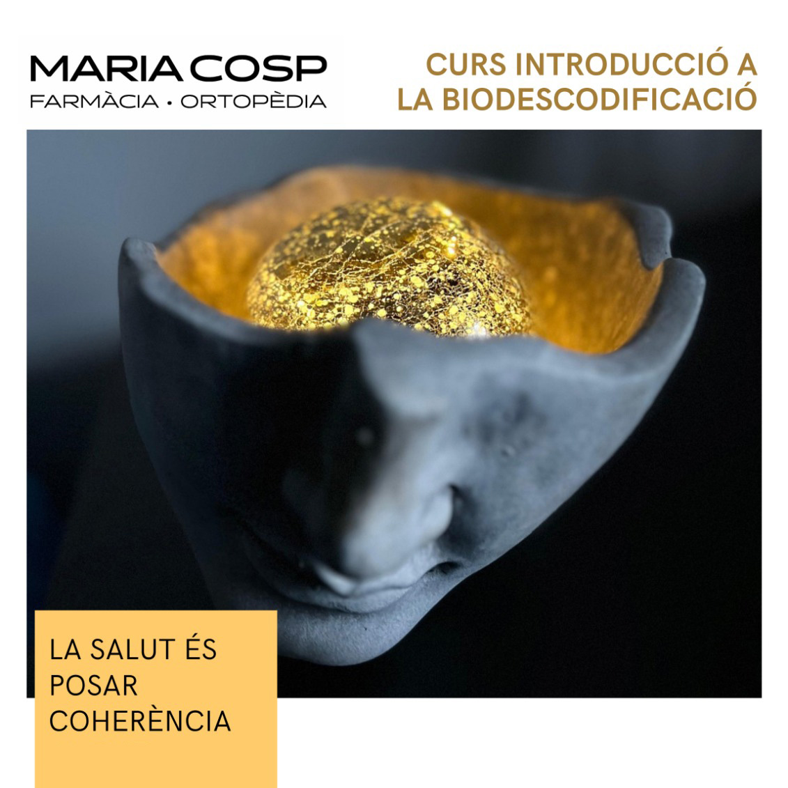 Farmàcia Maria Cosp - curs introducció a la biodescodificació